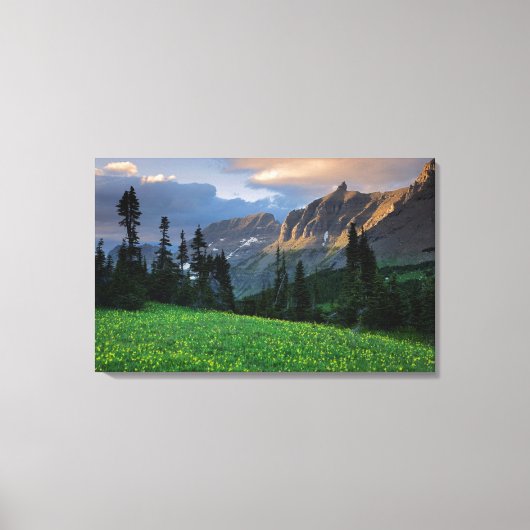 VS, Montana, Glacier National Park, Logan Pass Canvas Afdruk (Voorkant)