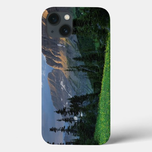 VS, Montana, Glacier National Park, Logan Pass Case-Mate iPhone Case (Achterkant)