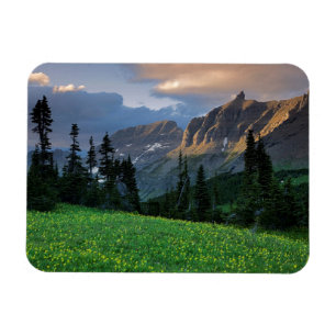 VS, Montana, Glacier National Park, Logan Pass Magneet