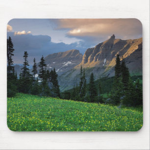 VS, Montana, Glacier National Park, Logan Pass Muismat
