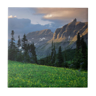 VS, Montana, Glacier National Park, Logan Pass Tegeltje