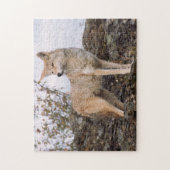 VS, Montana, Kalispell. Coyote op Triple D Legpuzzel (Verticaal)