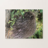 VS, Montana, Kalispell. Korstkorrels van varkens e Legpuzzel (Horizontaal)