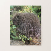 VS, Montana, Kalispell. Korstkorrels van varkens e Legpuzzel (Verticaal)