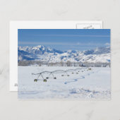 VS, MT, Boerderij nabij Livingston Briefkaart (Voorkant / Achterkant)