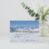 VS, MT, Boerderij nabij Livingston Briefkaart (Staand voorkant)