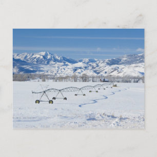 VS, MT, Boerderij nabij Livingston Briefkaart