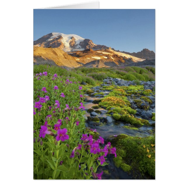 VS, Mt. Rainier National Park, Washington. (Voorkant)