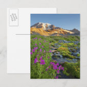 VS, Nationaal park Mount Rainier, Washington. Briefkaart (Voorkant / Achterkant)