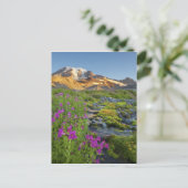 VS, Nationaal park Mount Rainier, Washington. Briefkaart (Staand voorkant)