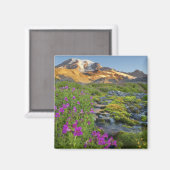 VS, Nationaal park Mount Rainier, Washington. Magneet (Voorkant / Achterkant)