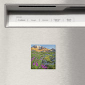 VS, Nationaal park Mount Rainier, Washington. Magneet (Insitu (Vaatwasser))