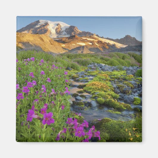 VS, Nationaal park Mount Rainier, Washington. Magneet (Voorkant)