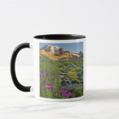 VS, Nationaal park Mount Rainier, Washington. Mok (Links)
