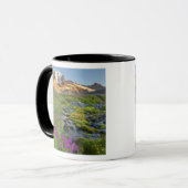 VS, Nationaal park Mount Rainier, Washington. Mok (Voorkant links)