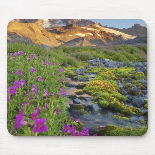 VS, Nationaal park Mount Rainier, Washington. Muismat (Voorkant)