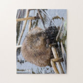 VS, Nebraska. Bever Legpuzzel (Verticaal)