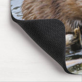 VS, Nebraska. Bever Muismat (Hoek)