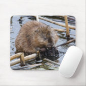 VS, Nebraska. Bever Muismat (Met muis)