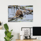 VS, Nebraska. Bever Poster (Thuiskantoor)
