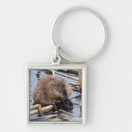 VS, Nebraska. Bever Sleutelhanger (Voorkant)
