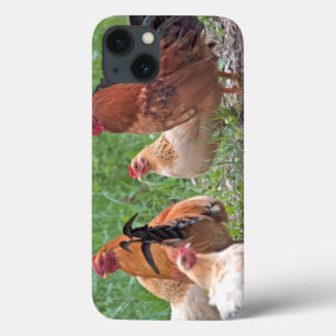 VS, Nebraska. Kippen iPhone 13 Hoesje