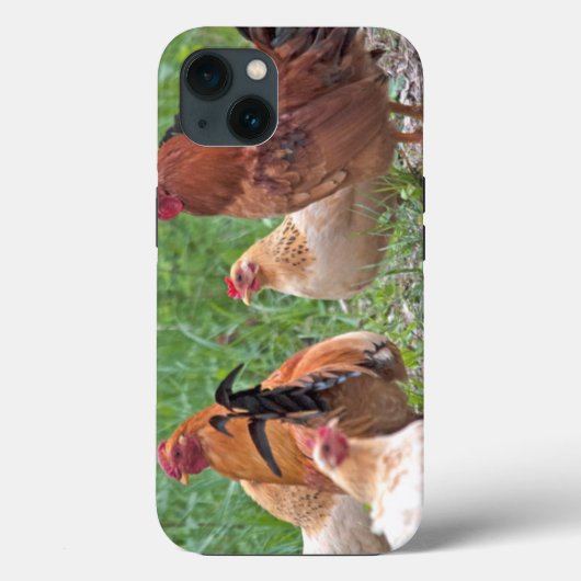VS, Nebraska. Kippen Case-Mate iPhone Case (Achterkant)