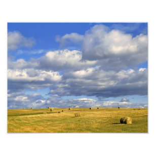 VS, Nebraska, Morrill County. Gouden hooi Foto Afdruk
