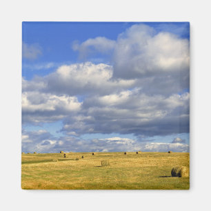 VS, Nebraska, Morrill County. Gouden hooi Magneet