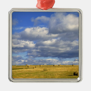 VS, Nebraska, Morrill County. Gouden hooi Metalen Ornament