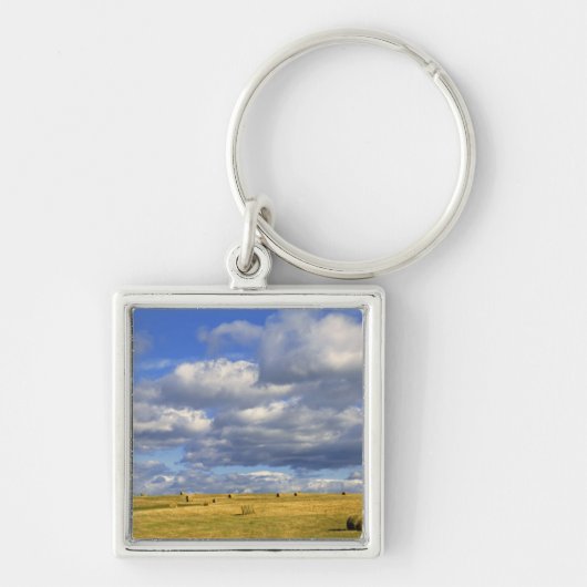 VS, Nebraska, Morrill County. Gouden hooi Sleutelhanger (Voorkant)