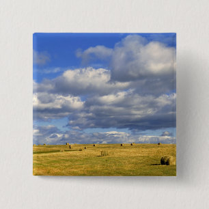VS, Nebraska, Morrill County. Gouden hooi Vierkante Button 5,1 Cm