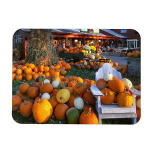VS, New England, Maine, Wells. Herfsttentoonstelli Magneet