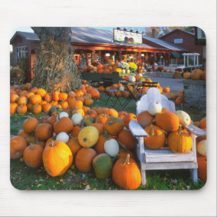 VS, New England, Maine, Wells. Herfsttentoonstelli Muismat