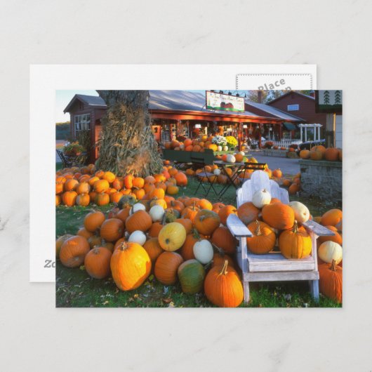 VS, New England, Maine, Wells. Najaars beeldscherm Briefkaart (Voorkant / Achterkant)