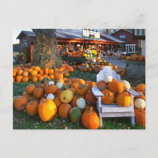 VS, New England, Maine, Wells. Najaars beeldscherm Briefkaart (Voorkant)