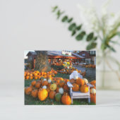 VS, New England, Maine, Wells. Najaars beeldscherm Briefkaart (Staand voorkant)