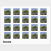 VS, New England, Massachusetts, Boston, 2 Vierkante Sticker (Vel)