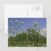 VS, New England, Massachusetts, Boston, 3 Briefkaart (Voorkant / Achterkant)