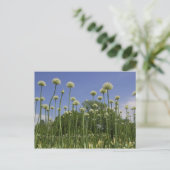VS, New England, Massachusetts, Boston, 3 Briefkaart (Staand voorkant)
