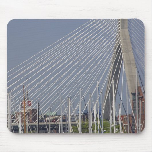 VS, New England, Massachusetts, Boston, boten Muismat (Voorkant)