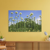 VS, New England, Massachusetts, Boston, Canvas Afdruk (Insitu (Woonkamer))