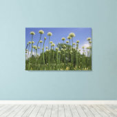 VS, New England, Massachusetts, Boston, Canvas Afdruk (Insitu (Houten vloer))