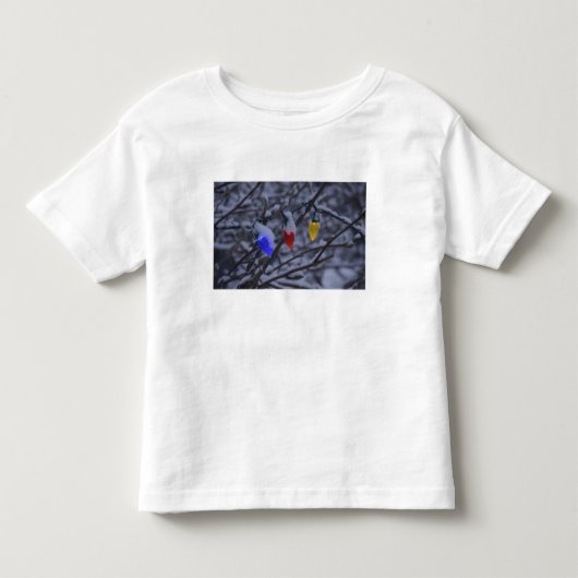 VS, New England, Massachusetts, Reading, 2 Kinder Shirts (Voorkant)