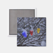 VS, New England, Massachusetts, Reading, 2 Magneet (Voorkant / Achterkant)