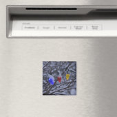 VS, New England, Massachusetts, Reading, 2 Magneet (Insitu (Vaatwasser))