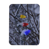 VS, New England, Massachusetts, Reading, 2 Magneet (Verticaal)