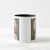 VS, New England, Massachusetts, Reading, Mok (Midden)