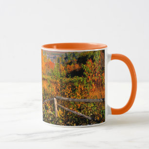 VS, New England, New Hampshire, Chocorua Mok