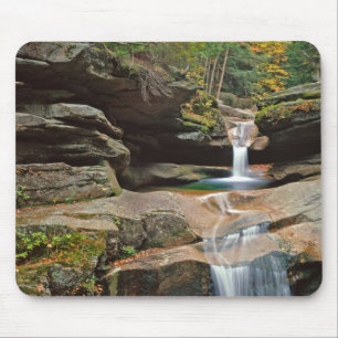 VS, New England, New Hampshire, White Mountains Muismat